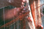 cucito...da pesca