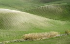 14 gennaio 2007