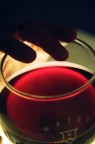 Wine atmosfera