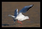 Take off
