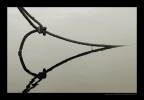 Riflesso 2