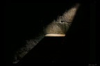 Cella Mamertina2