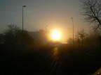 alba