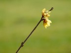 verso la luce