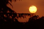 Un tramonto  sempre un tramonto