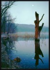 Avigliana, il lago piccolo all'alba