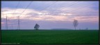 La campagna di Carmagnola #3.