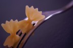 a caccia di ... farfalle