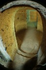 necropoli di cerveteri