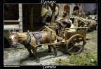 Manuale
ISO 1600
F 4
1/20 sec
No flash


Critiche e commenti sempre graditi :)

P.S.
La testa del cavallo  un po' fuori fuoco purtroppo.