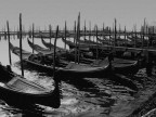venezia II