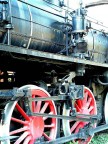 il treno