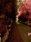 Sentiero nel bosco