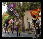 Sbandieratori
