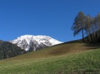 Prato verde in montagna