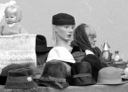 mimitismo (mimikria)