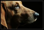 Il mio amico Umba!