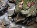 Autunno_1681