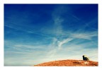 House under the sky