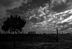 Roma, entro il GRA 2007