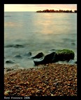 Mare
