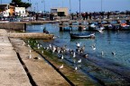 FOTO SCATTATA A MONDELLO SULA RIVA DELLA PIAZZA