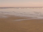 lido le morge
