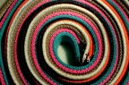 colors