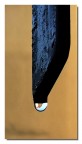 PrimaGoccia