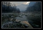 Morning Landscape