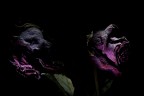 Light painting #2