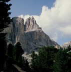 hasselblad + 343