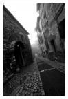 NELLA NEBBIA