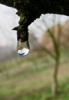 riflesso