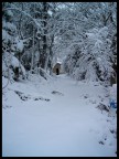 nevicata