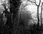 Negativo 4x5 Fp4 Ilford sviluppato con D76 in tank. A causa della perdita di temperatura della vasca durante il trattamento il negativo risulta un poco sottosviluppato.