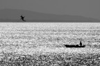 Messina - Stretto di Messina
Can 350d - Sig 18-200/3.5-6.3 DC - 200mm @ 1/500 s @ f 18 @ 100 iso
NinjaNoise + Contrasta Migliore + DeSat + Crop + Reg. Livelli/Curve
