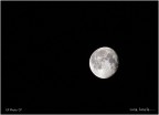 Luna, luna l......