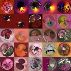 collage