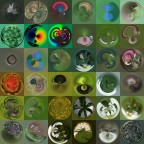 collage verde