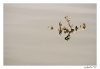 ::.riflessione.::