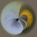 in arte calla
