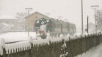 Transiberiana locale