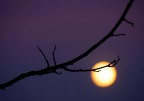 Al chiaro di Luna