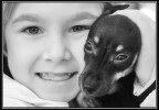 Cuccioli