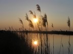 tramonto a Ostellato