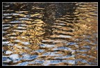 riflessi