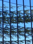 Riflessi geometrici