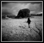 Holga Promenade
