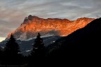 Santa Croce